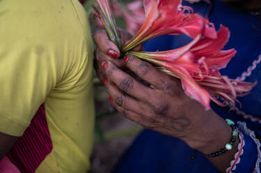 Lena Mucha's images for Nikon magazine