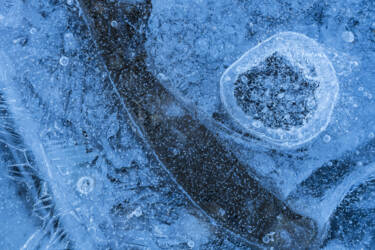 Ross Hoddinott |  Nikon magazine 