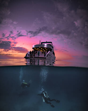 Nikon magazine - How to become an underwater photographer 